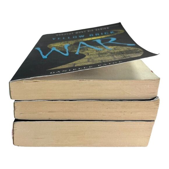 Dorothy Must Die Lot 3 Book Danielle Paige Yellow Brick War The Wicked Will Rise - Picture 8 of 11